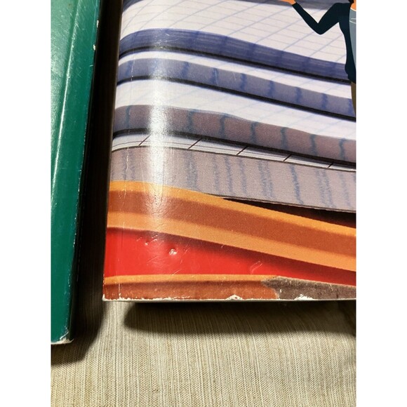 Ready Mathematics 2 And 3 Practice And Problem Solving Home School Textbook - Picture 10 of 12